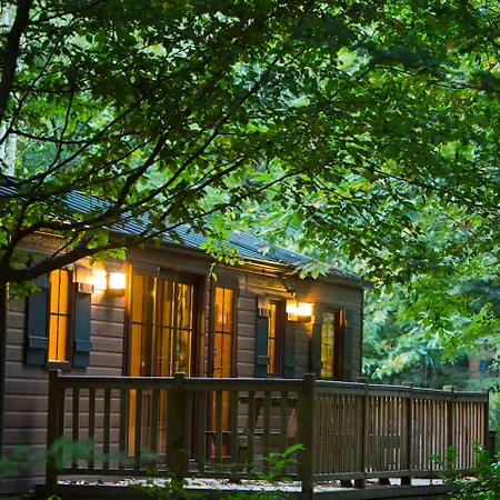 Szálloda Davy Crockett Ranch 3*