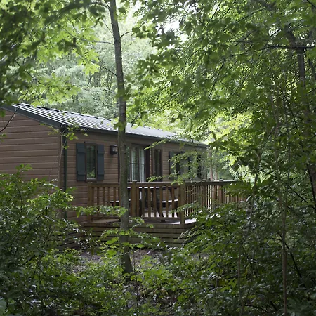 Szálloda Davy Crockett Ranch 3*