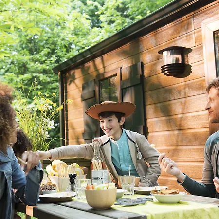 Davy Crockett Ranch 3*