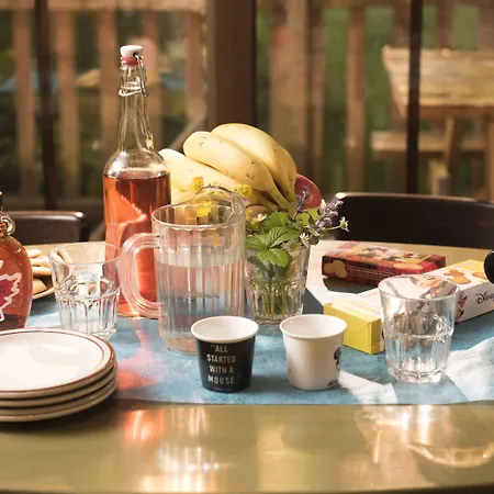Szálloda Davy Crockett Ranch 3*