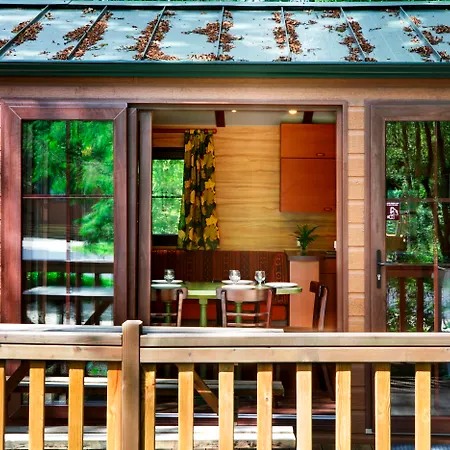 Davy Crockett Ranch 2*