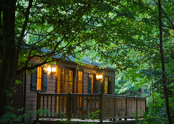Hotel Davy Crockett Ranch 3*