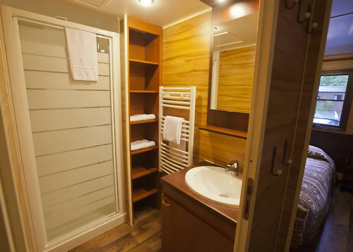 Davy Crockett Ranch 3*